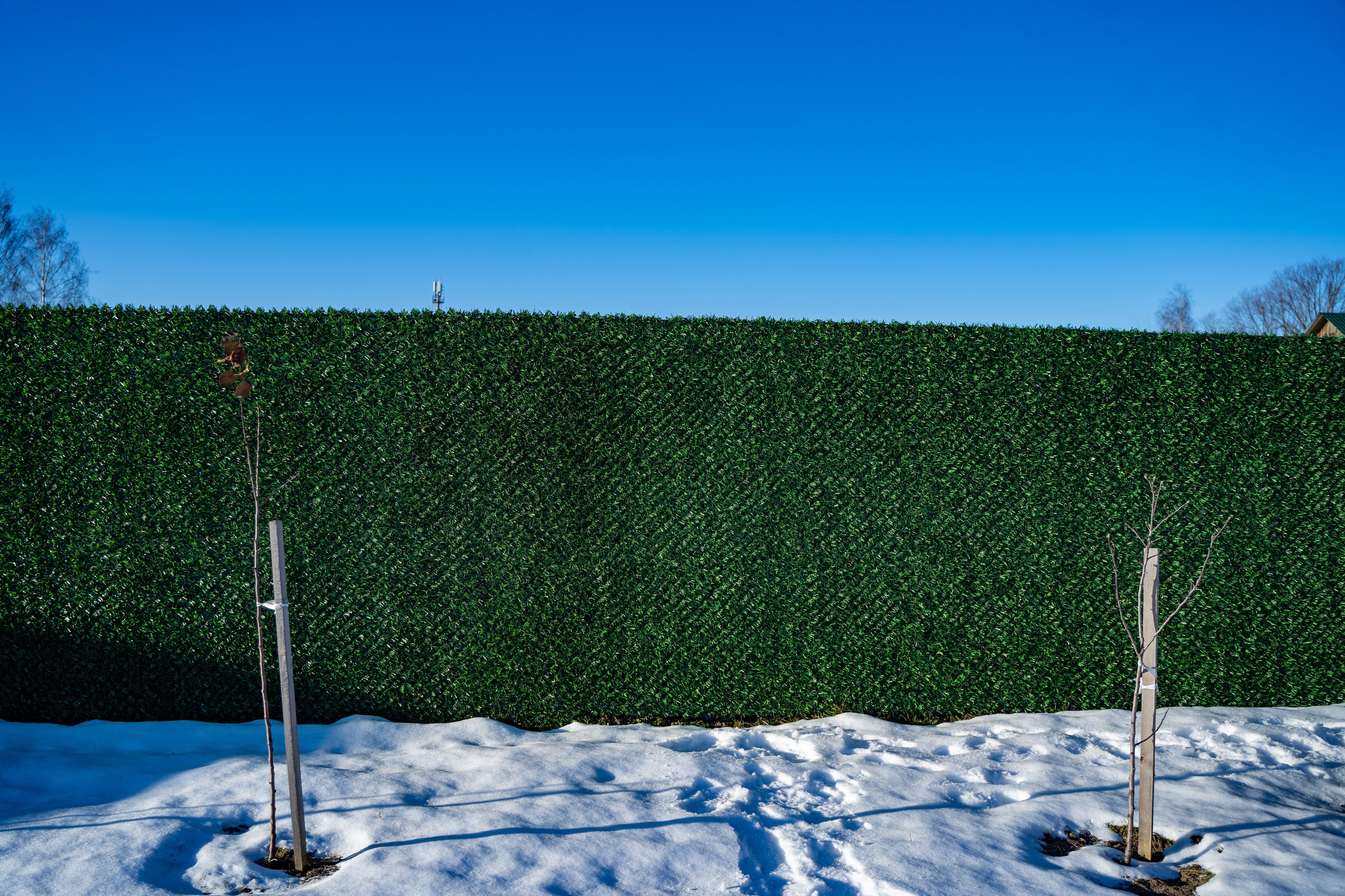 Вечнозеленый забор Grass Fence рулон 2м фото 8 в Гатчине