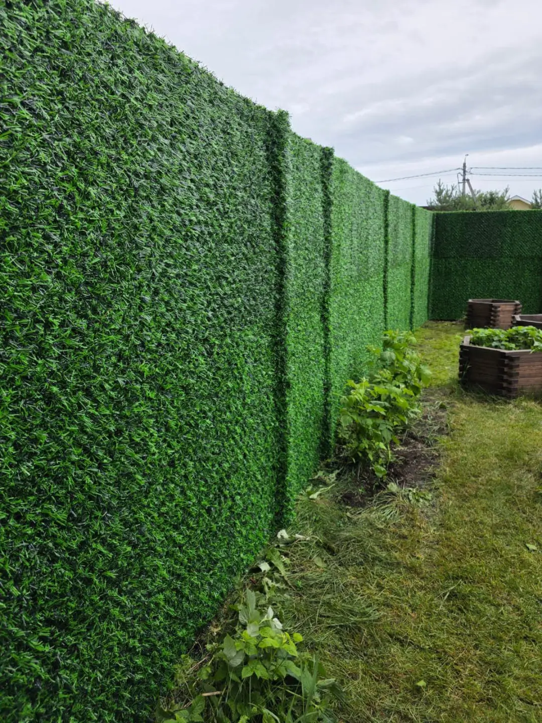 Вечнозеленый забор Grass Fence 37м фото 1 в Гатчине